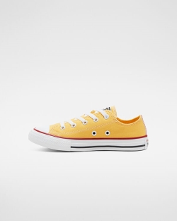 Converse Seasonal Color Chuck Taylor All Star Kiz Çocuk Kısa Ayakkabı Beyaz/Altın/Koyu/Kırmızı | 748